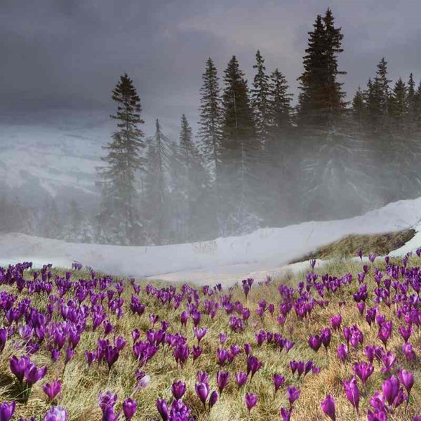 Travel News March 2023
