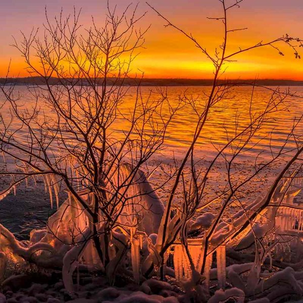 Travel News February 2023