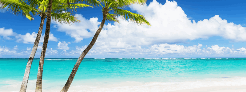 The Bahamas
