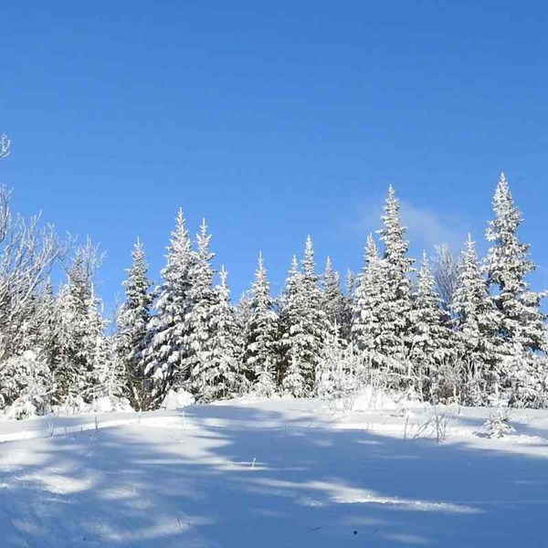 Travel News January 2023