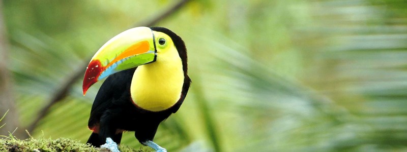 Costa Rica