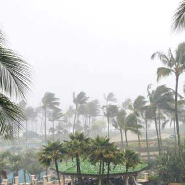 Hurricanes 