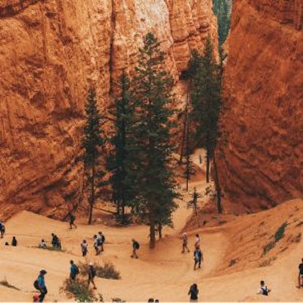 National Parks Overtourism