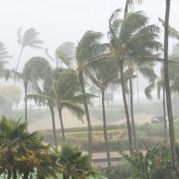 Ready for Hurricane Season? 