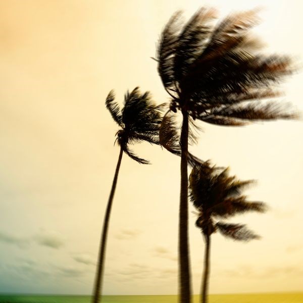 Hurricane Idalia August Travel News